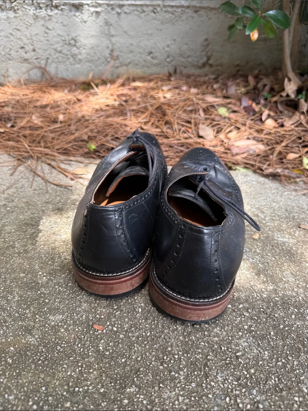 Johnston & Murphy Black Leather Wingtip Oxfords with Brown Sole